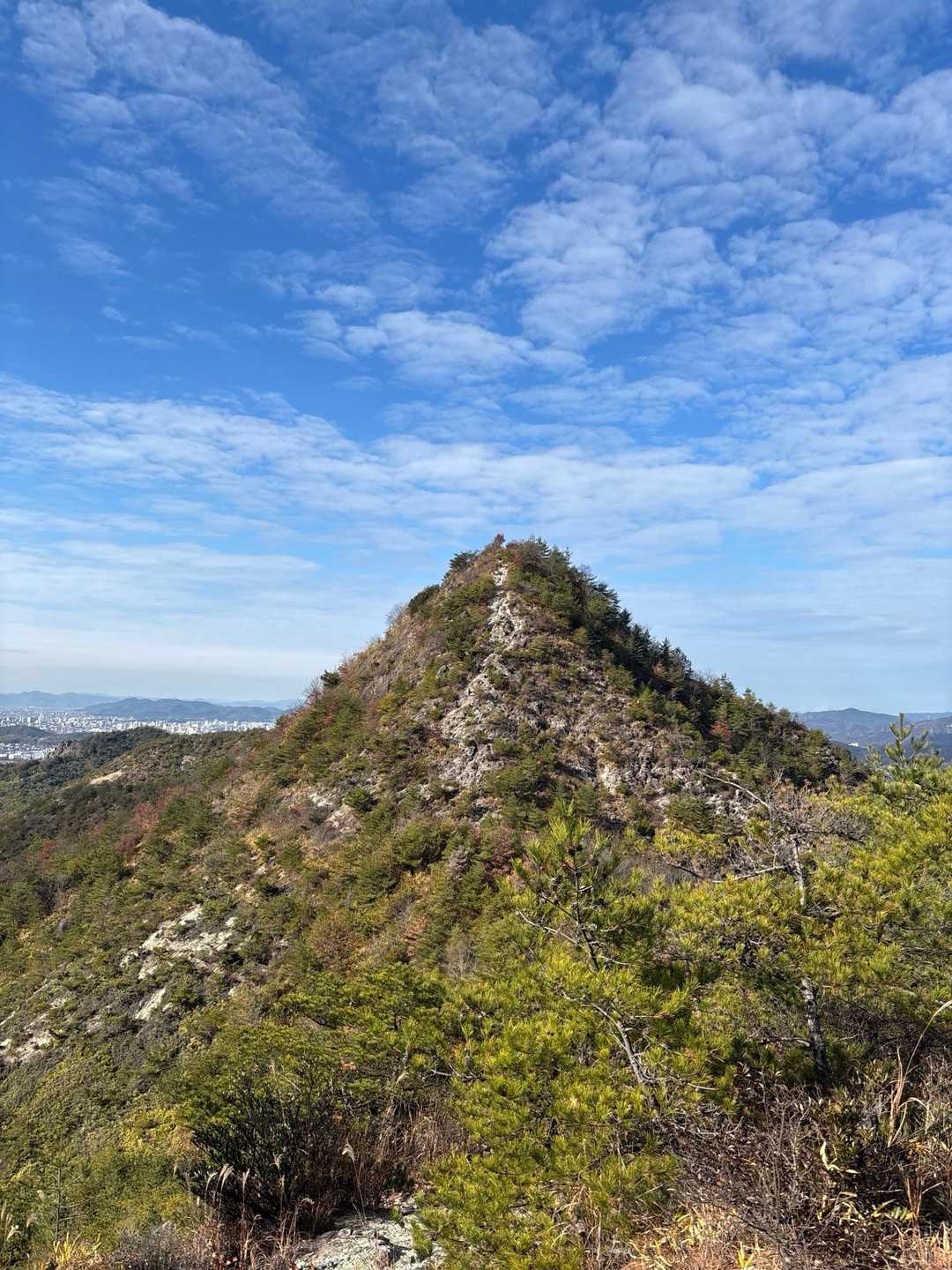 馬の背登山口-桶居山 往復コースの写真