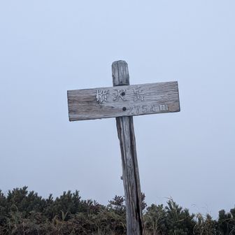 樅沢岳登頂
槍ヶ岳山荘から東鎌尾根までは
写真撮る余裕ありませんでした
このあたりでようやく雨が止んで
強風だけになったのでなんとか一枚