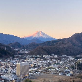 紅になってきた。手前の大きな建物は東横インです。