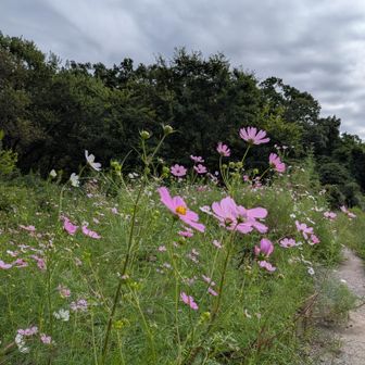 宝篋山が初めての友達が一緒だったので、まずは王道の極楽寺コースから😊