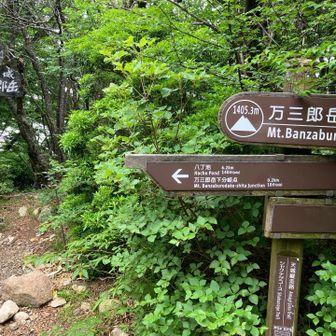 山頂