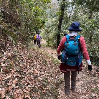 最後のトレイル