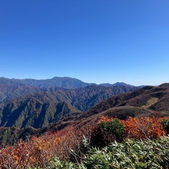 手前の笹の緑🟢に紅葉🍁大日岳方面⛰️
空のブルー🩵いい眺めですね👍