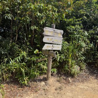 西方が岳到着
山頂は眺望無し