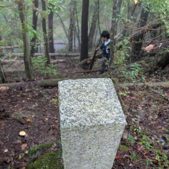 碑の上から見下ろして撮影　林道舗装面が見えている