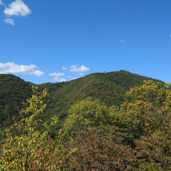 展望台から山頂を眺める！めっちゃ近付いた気分(笑)