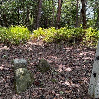 黒石の三角点。うーん、静かだけどオオルリの声がする。他の場所で録音したオオルリの声を流して誘ってみる。近づいて来ない。
ばれちゃったかな？まともに相手にしてくれませんでした。