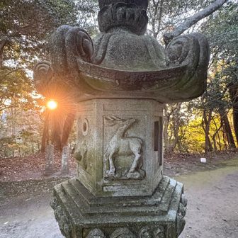 鹿だ
鹿は神の使いだからかな