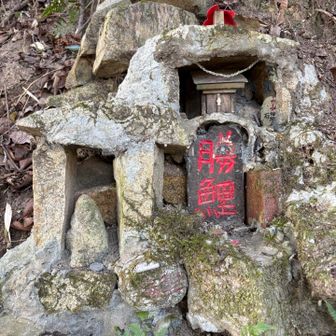 カープ神社⛩️
