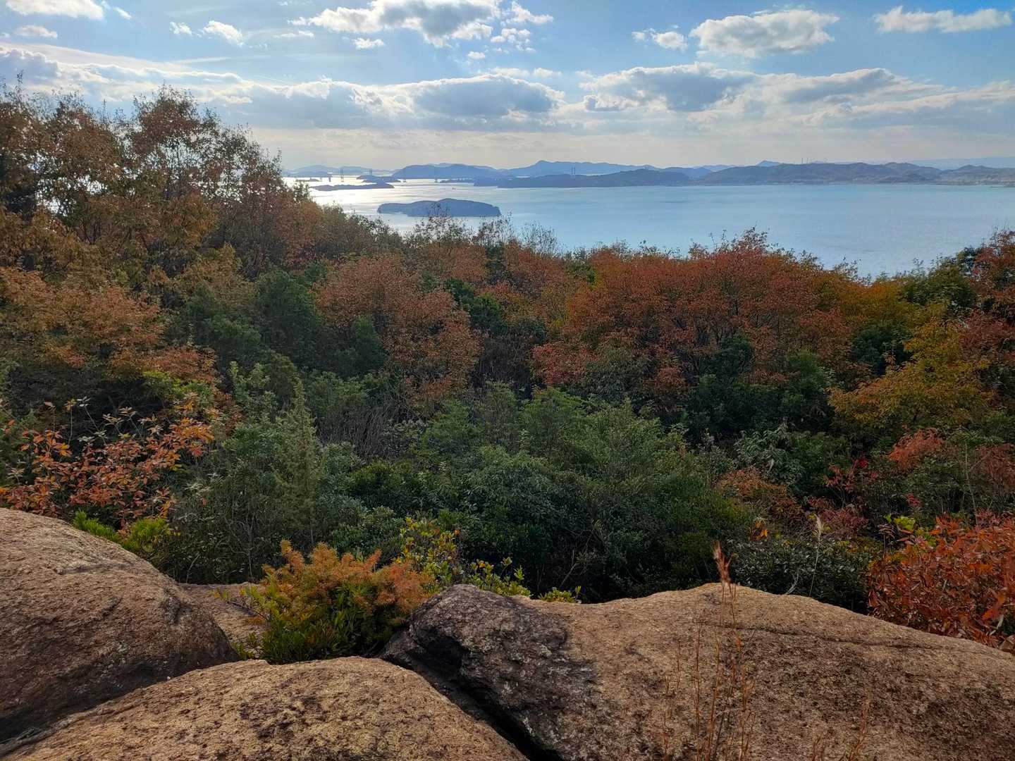 王子ヶ岳登山口-新割山-王子ヶ岳登山口 周回コースの写真