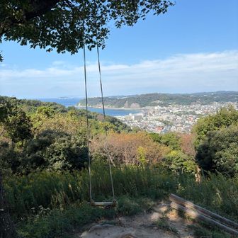 木にぶら下げたブランコ。