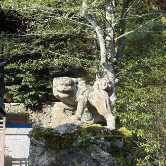 笑ってるように見えた狛犬