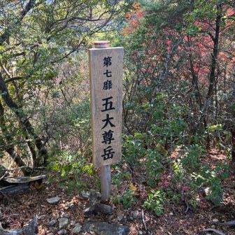 第七靡 五大尊岳