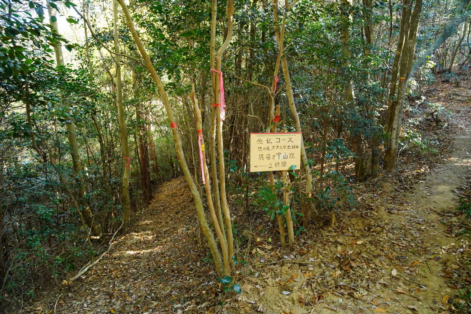 念仏コースでささらが池へ向かいます