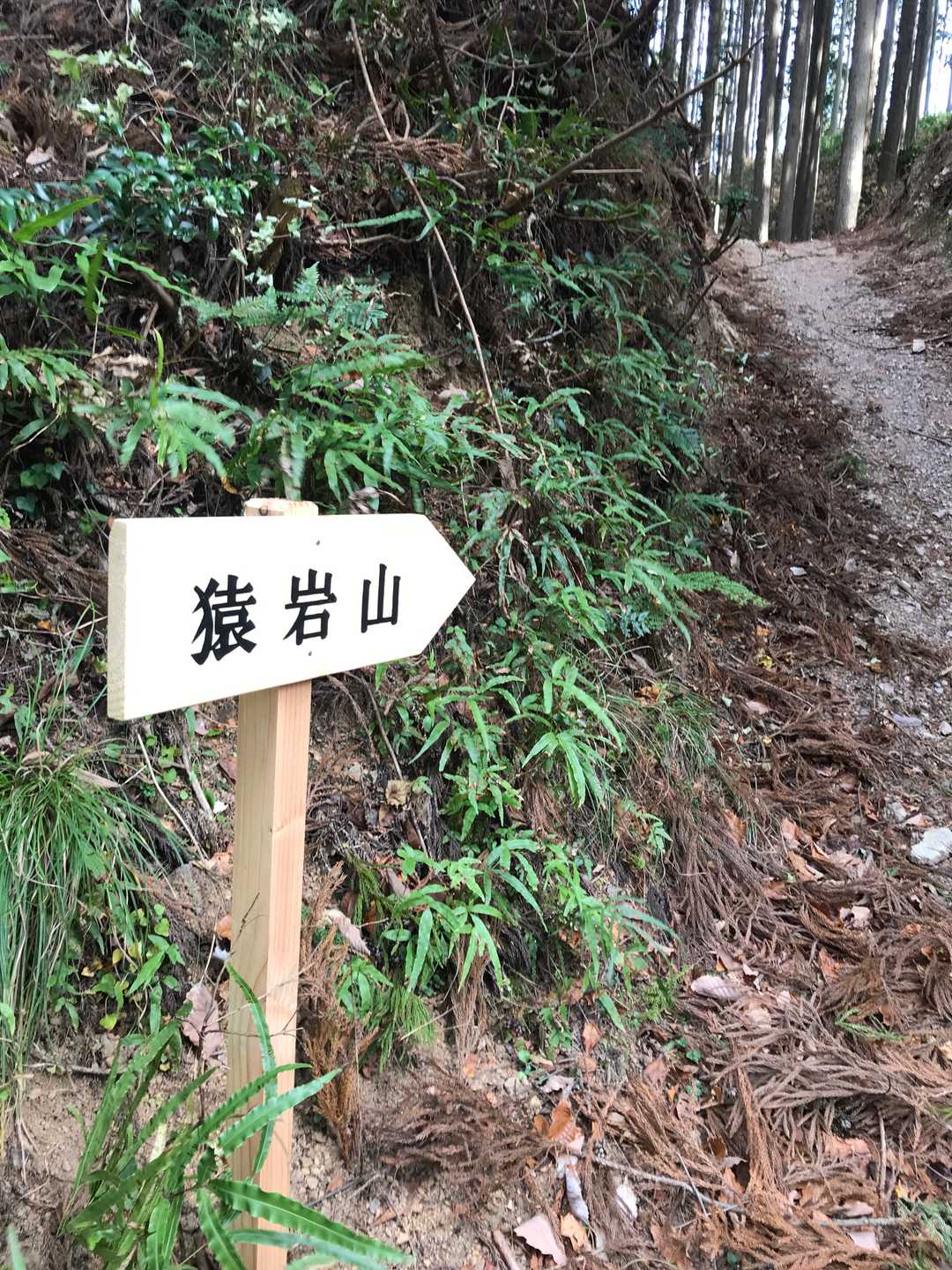普通に歩けばここに付くはずだったが・・・てか「猿岩山」ってなに？ここからはずっと舗装道路を下る。