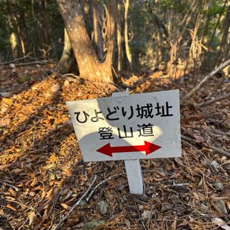 案内ルートも有難い！