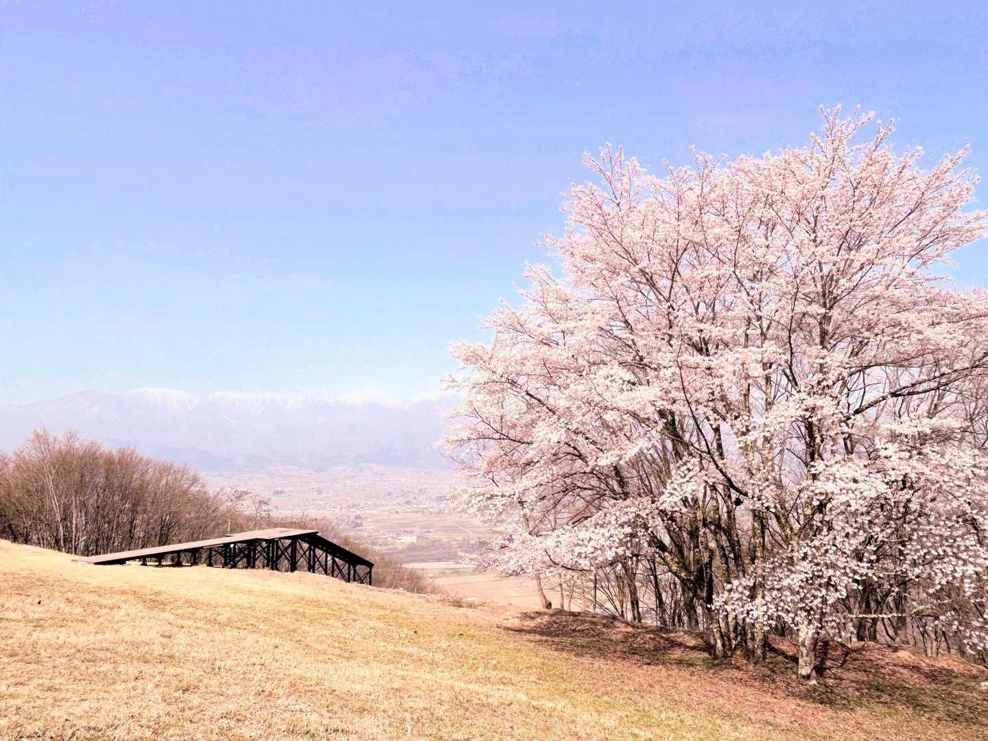 光城山 | 安曇野の田園を眼下に北アルプスを一望。低山ながら展望秀逸の縦走路の写真