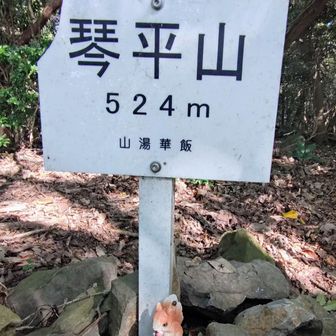 琴平山
下に目を向けるとリスの置物が🐿️