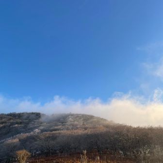 でも水無山の方が霧氷がありそうとお師匠の判断で行ってみたら大正解♪