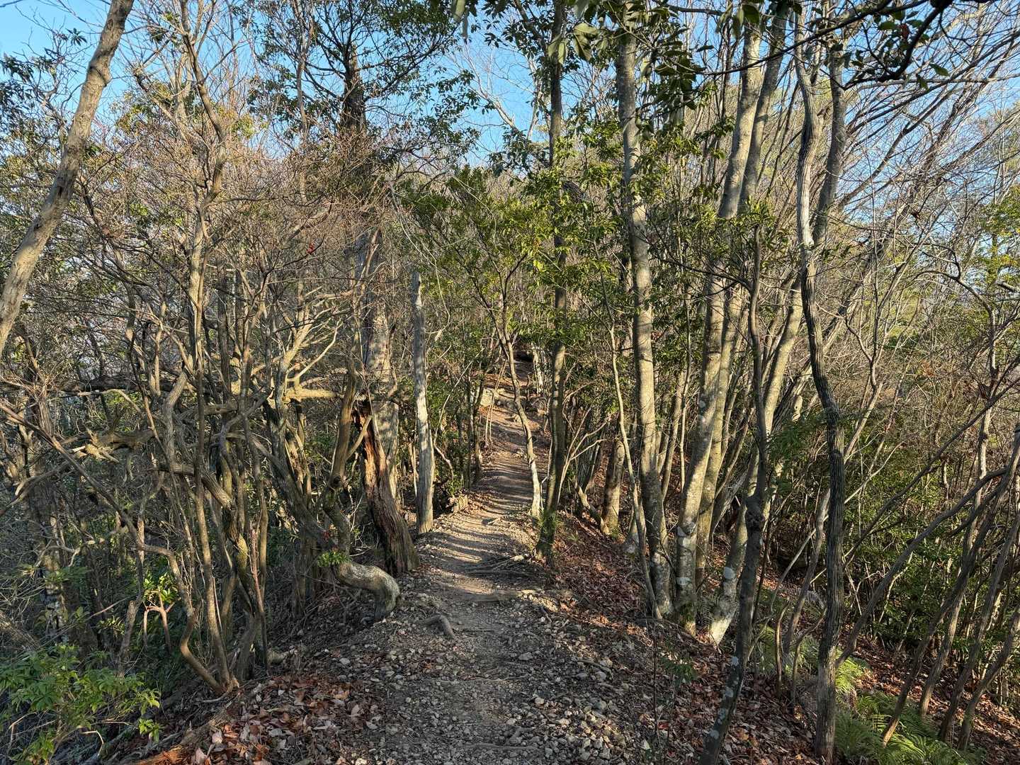 陽が差して平和な感じが増してきた。