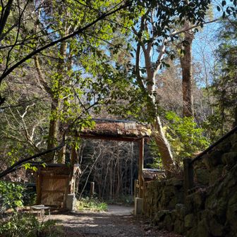 いつの季節もここ好き〜❤️