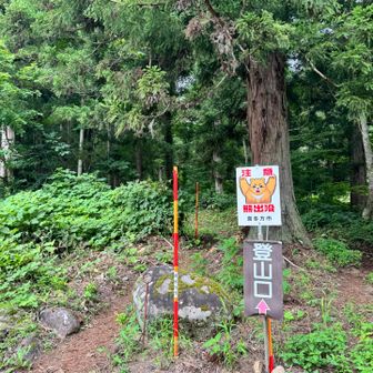 登山開始