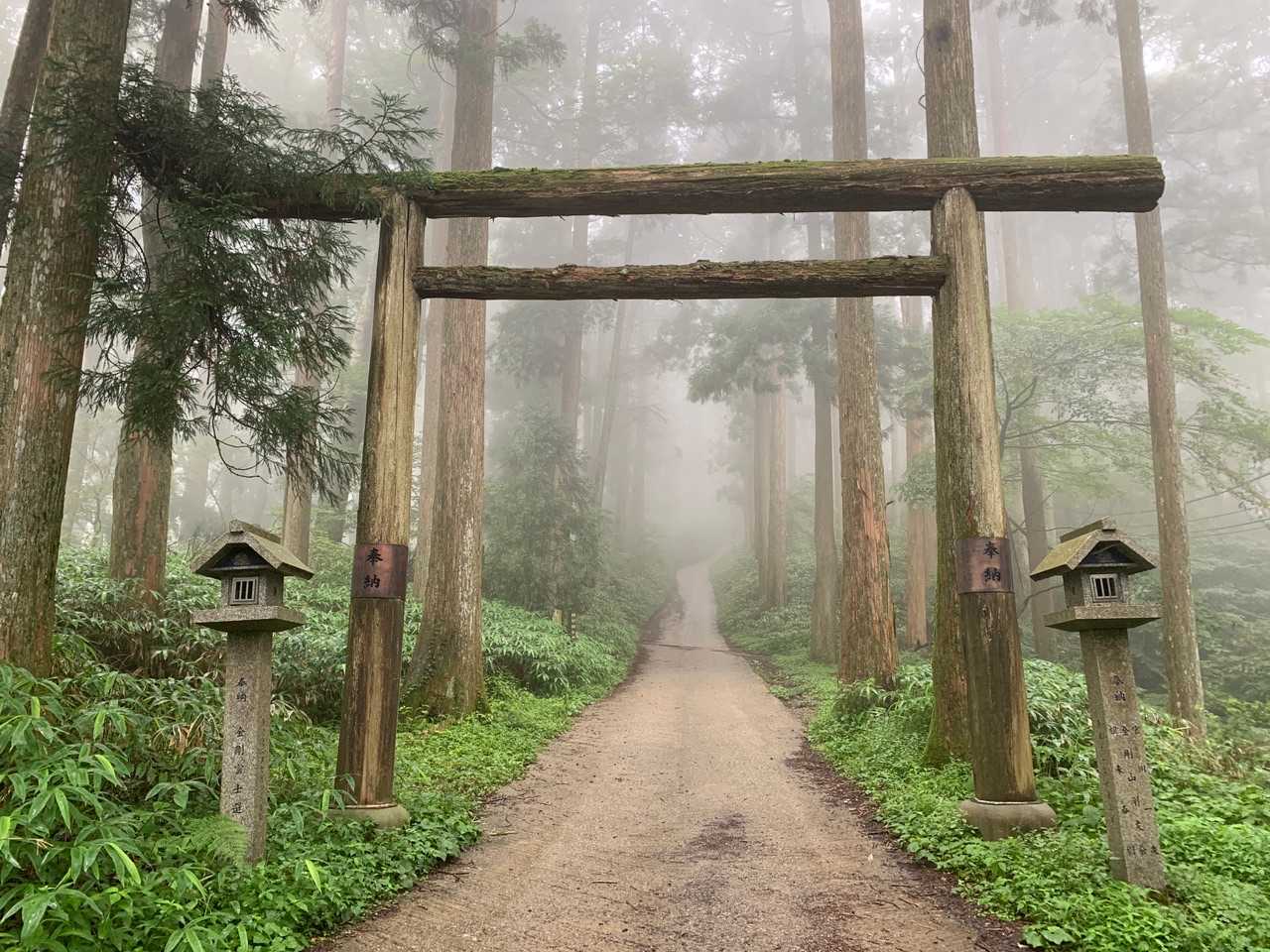 高天彦神社-府民の森 ちはや園地 往復コースの写真