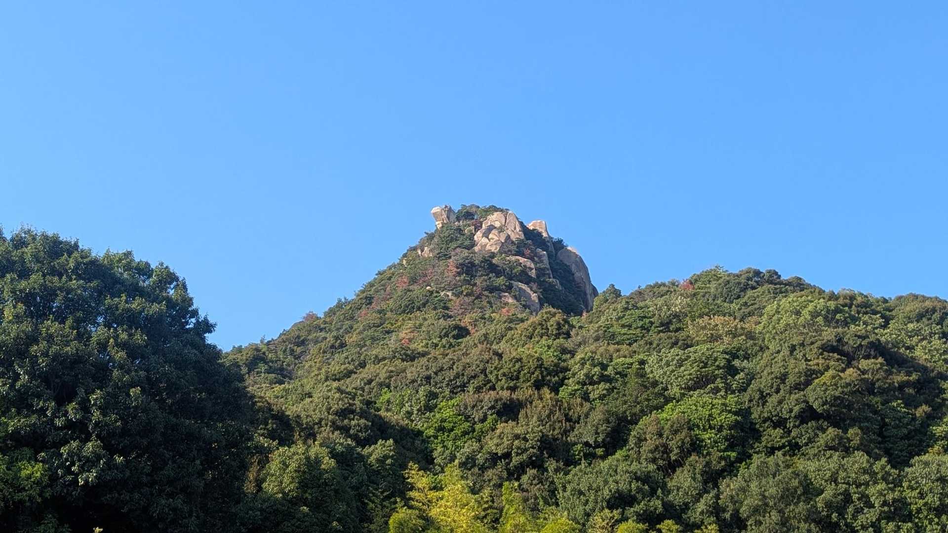 あれが右田ヶ岳かと思ってたら
手前の山だった💦