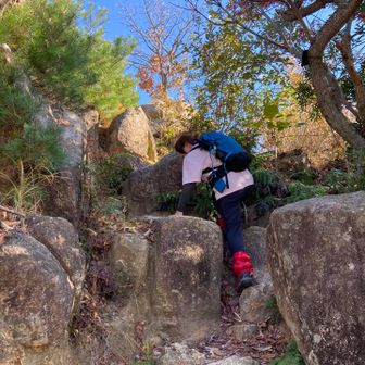 3年前は崖に見えた岩も登れるようになった姫様！！成長しました😘

https://yamap.com/activities/18840753