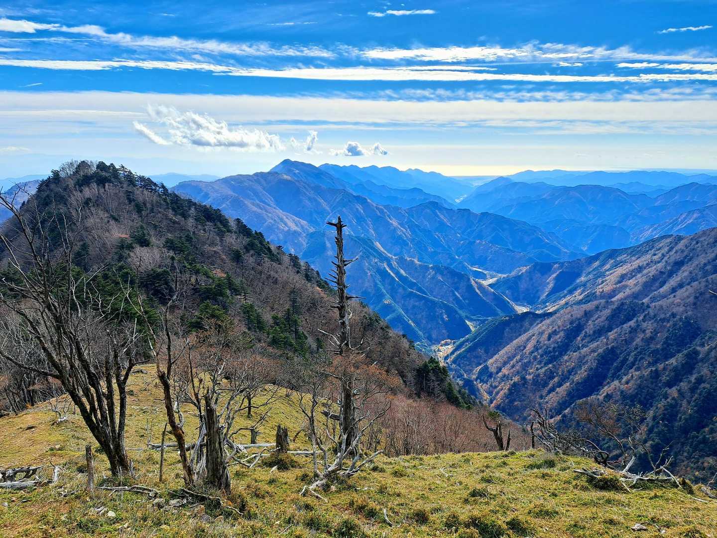 八紘嶺
山頂から少し下ったところ

安倍奥東山陵の山々、安倍川、太平洋が一望できました🥹