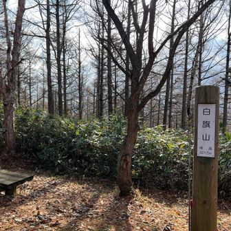 白旗山🏳️😊

眺望はこんな感じ