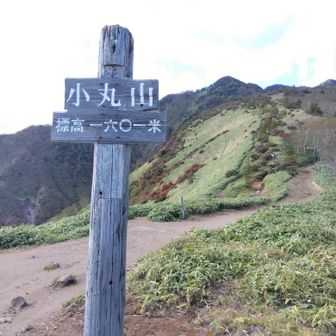 小丸山1601m、奥が赤薙山方面の急登