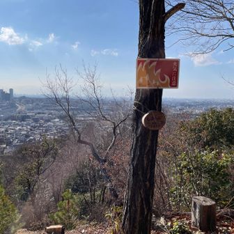 結構急登でした。
しおんじ山。見晴らしいいやん。