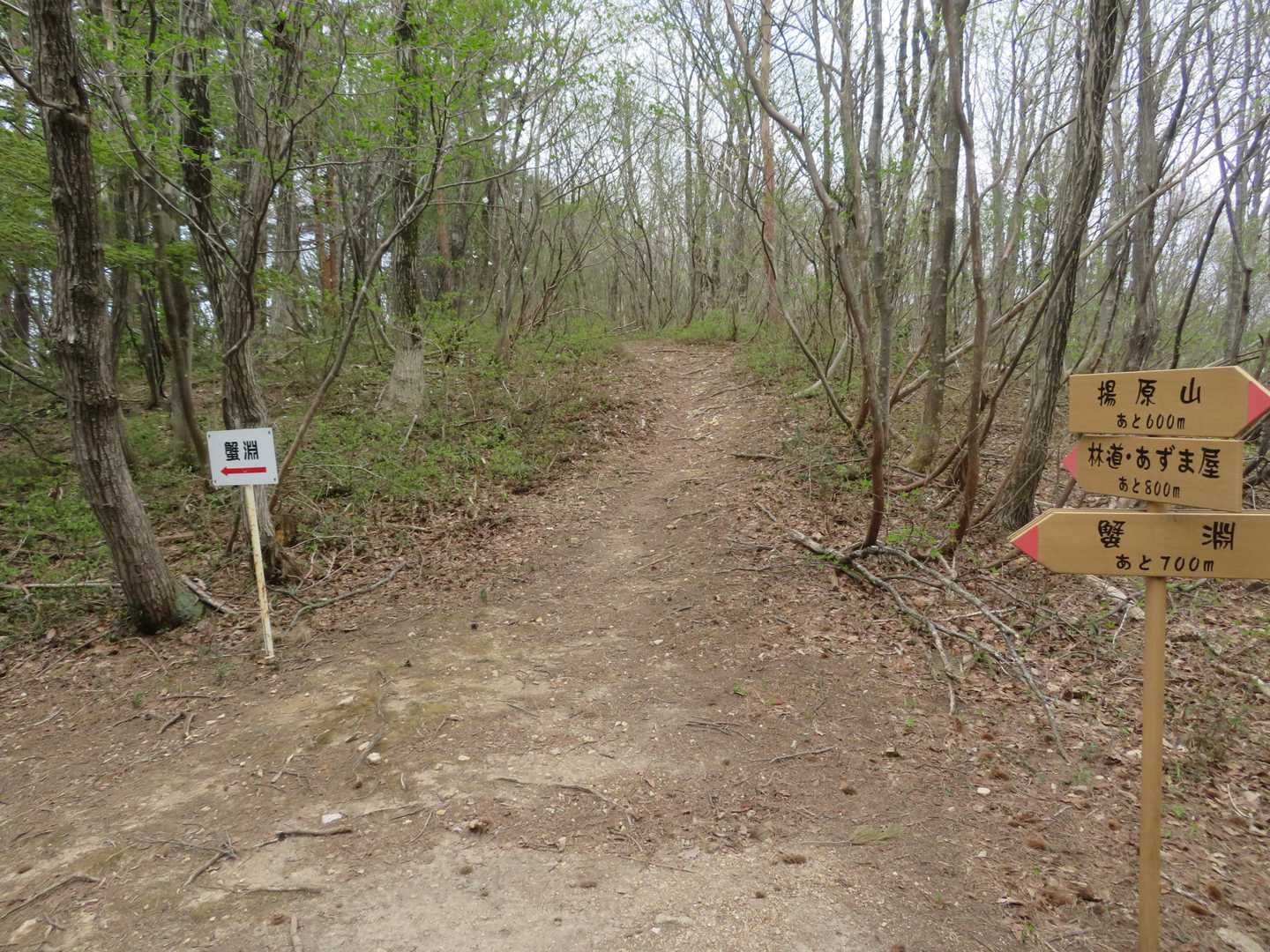 さて、蟹淵に向かいます！
あと700mだけど、下りだから早いよな😏