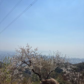 風吹岩にも人がいっぱい