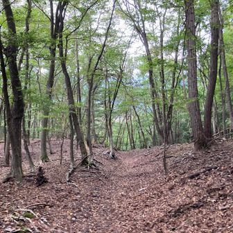 下山
紅葉時期は良さそう