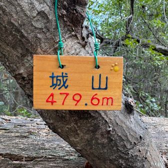 城山も看板だらけ