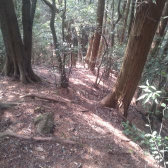 登って来た尾根と違う右側尾根。