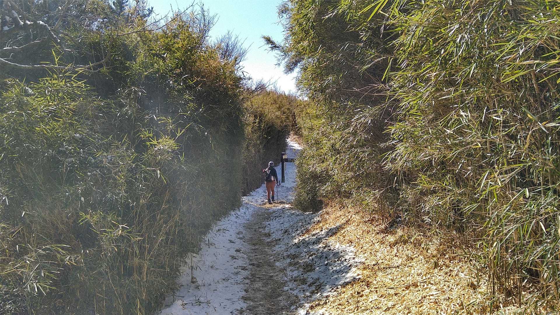 宮城野営業所前バス停-明神ヶ岳 往復コースの写真