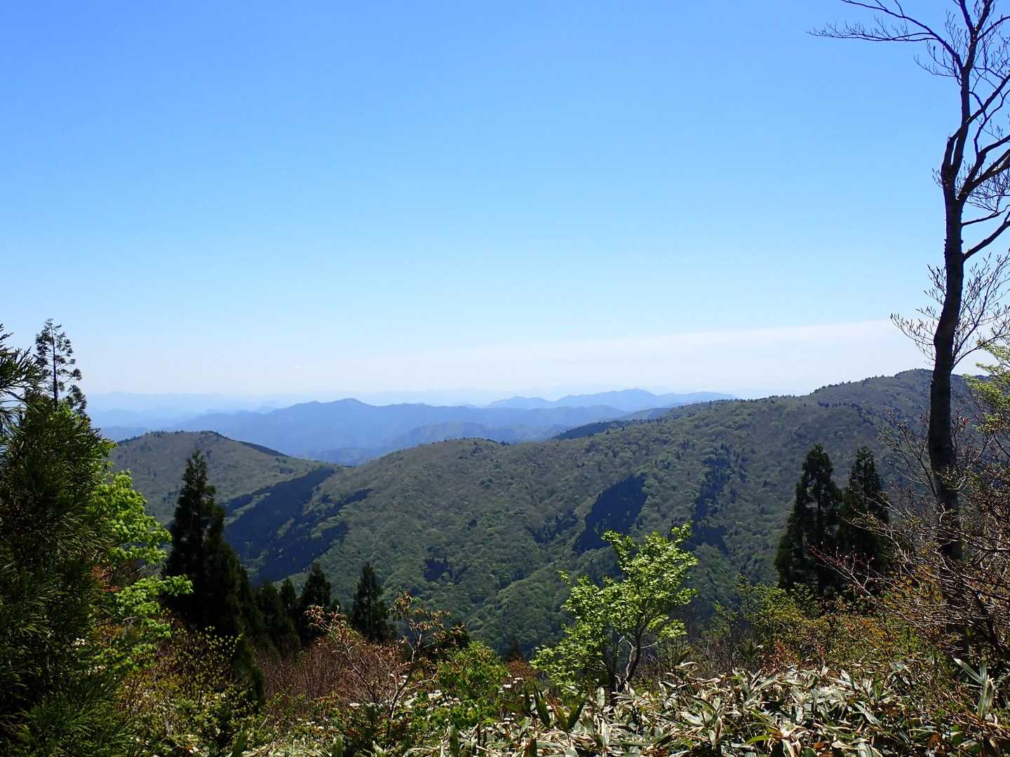 どこまでも続く山よ！　ここも山深いトコです🔆