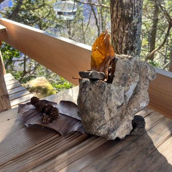 今年も玉藻ヶ峰のたまもカフェにて。外のテラスに葉っぱのオブジェ出来てた。