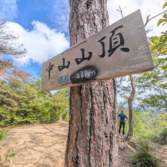 中山山頂。
ここで中山寺に戻る予定でしたが、気がかわりました。
何かが呼んでる。

写ってる人は知らない方。

中山山頂から廃線跡までで人を見たのは2人だけでした。
超快適山歩🚶‍♀️でした。