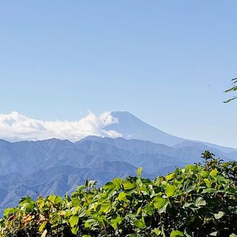 陣馬山頂到着＼(^o^)／最後まで富士山頑張ってくれました！！