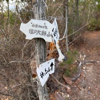 標識が多くてありがたや、ありがたや。