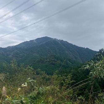 大山が見えてきました