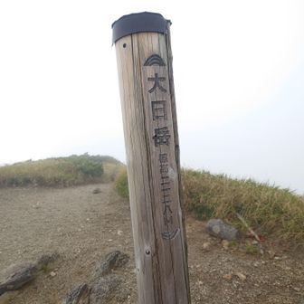 大日岳山頂、ここが飯豊山地の最高地点、ガスの中ですが…