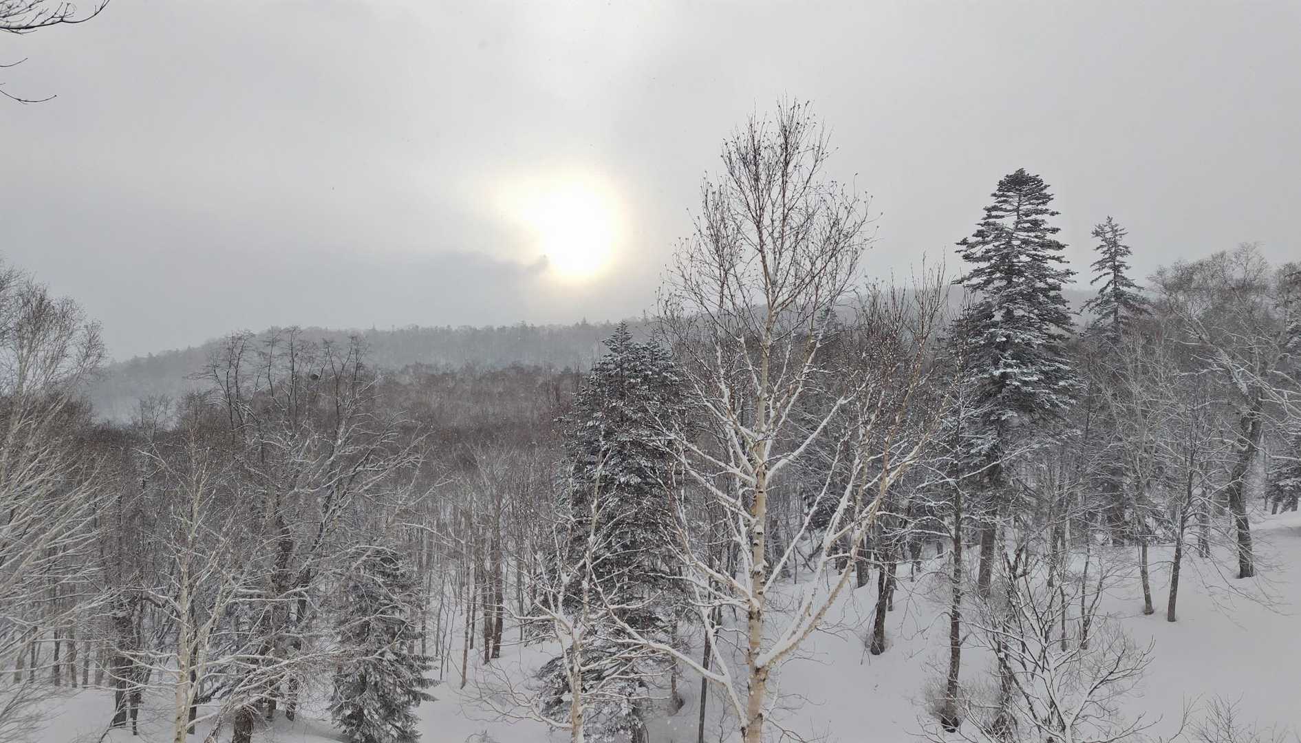 さぁ…今日の天気はそろそろ晴れの率が上がるハズ。
でも強風の予報なので早めに無意根山まで行って長尾山に戻って大沼山に行きたいなぁ🤔