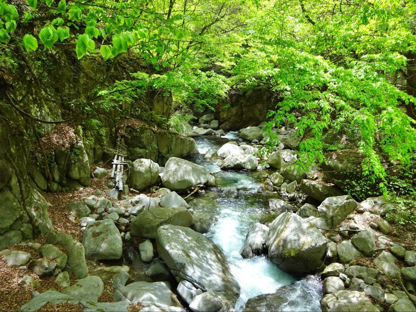 【竜門峡】美しい滝や淵が連続する変化に富んだ渓谷美を楽しむの写真