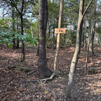 分岐からピストンで大平城跡ってとこに行ってみた。