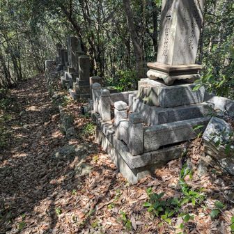 ここがYAMAPの山頂付近✨